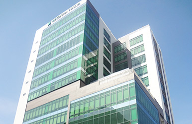 ���ɱ�KINGSTON TOWER